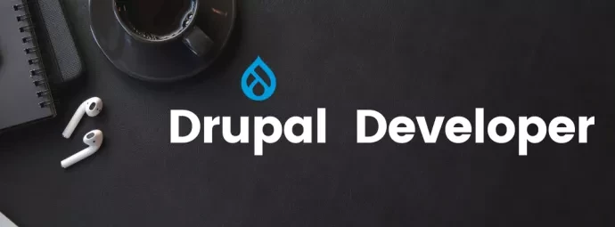 Drupal Developer