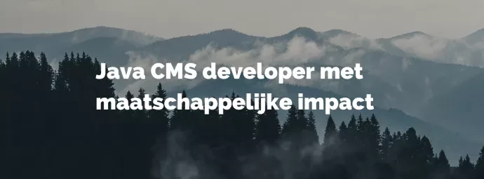 Java CMS developer met maatschappelijke impact