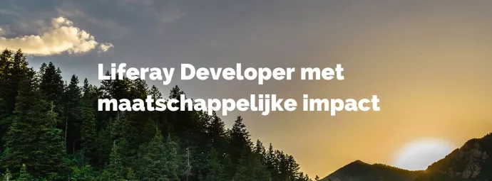 Liferay developer met maatschappelijke impact