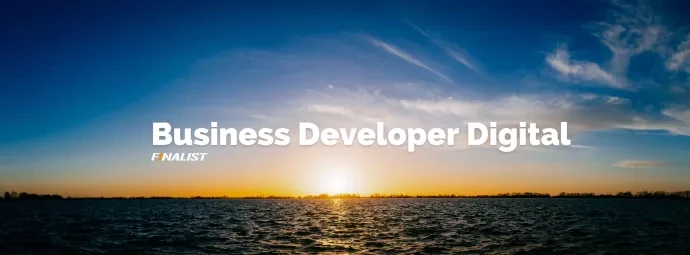 business developer digital