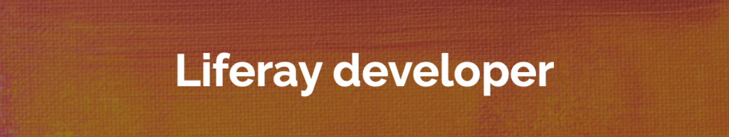 Liferay developer